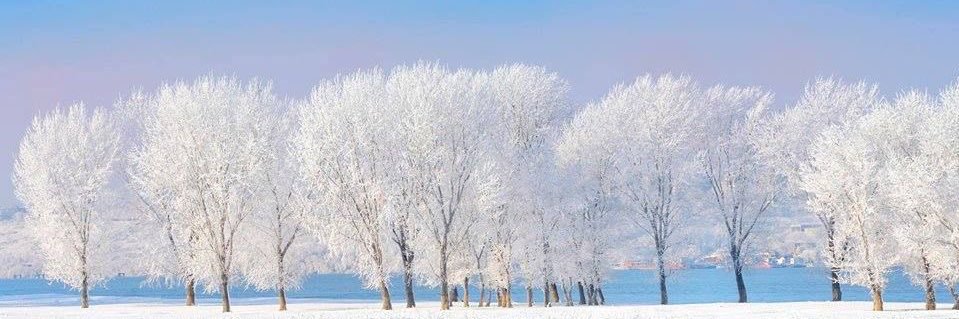 _snowbloom_'s profile banner image