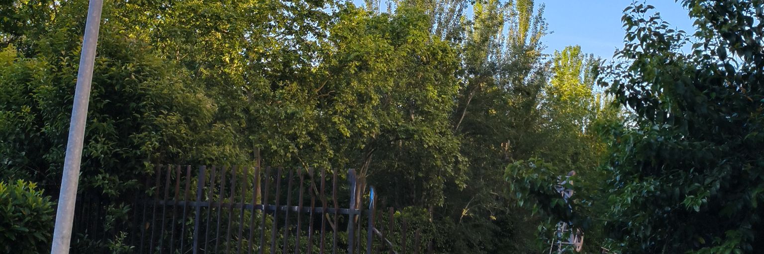silllyy guy banner