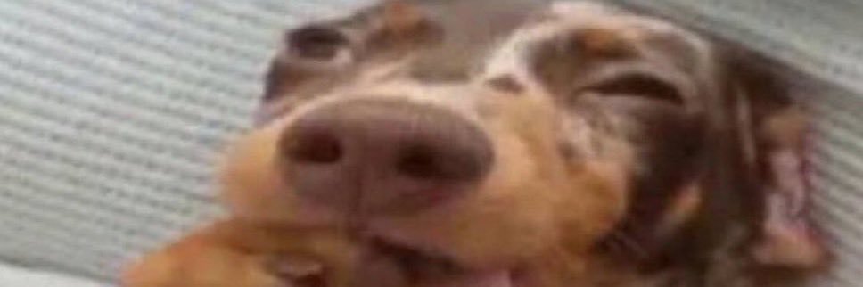 Pedrinrj12's profile banner image
