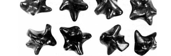 jordan banner