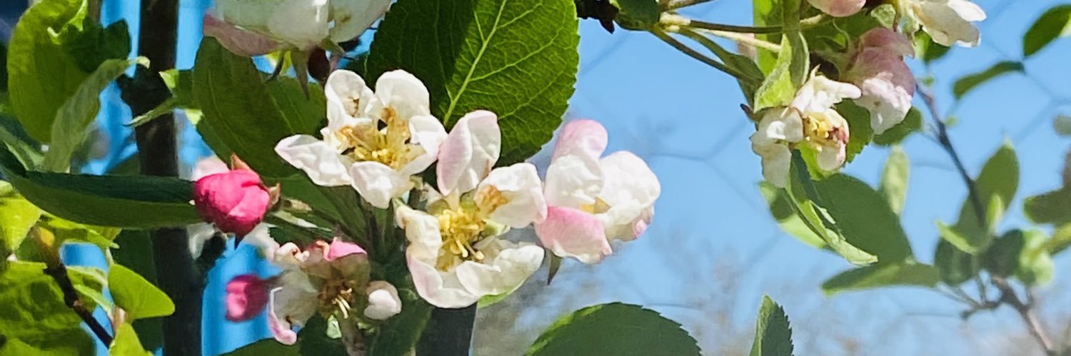 Muzzer Daftbat 🦩 banner