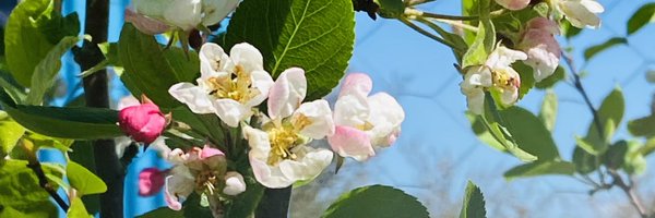 muzzer_daftbat Profile Banner