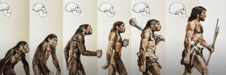 human (@homo_sapienssap) / Posts / X