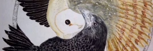 dyslexic girl kissing jew banner