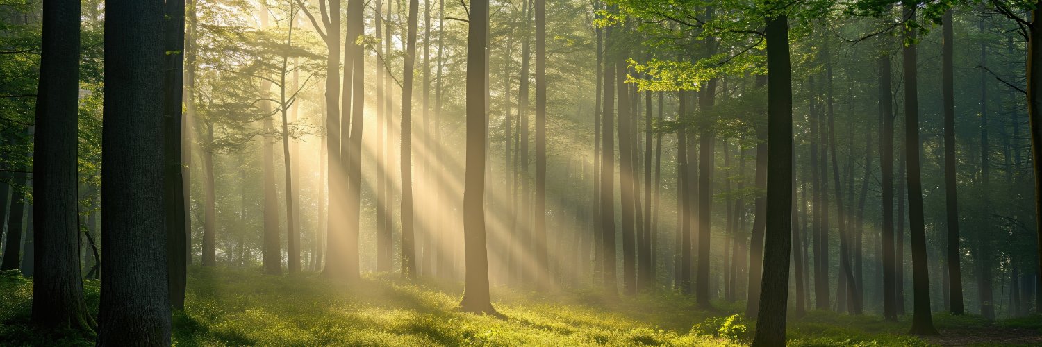 DailyBibleAffirmations banner