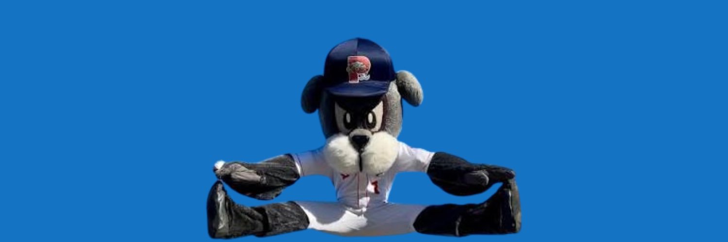 Sea Dogs Mark banner