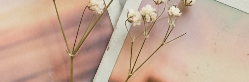 Miu_207's profile banner image