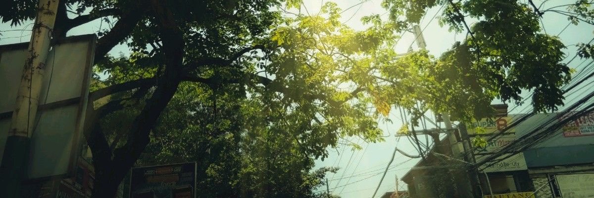 ִֶָ banner