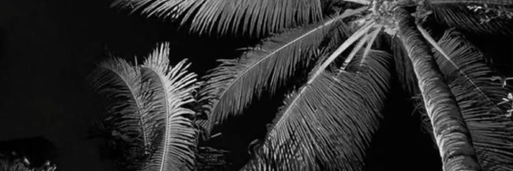 3mlxj's profile banner image
