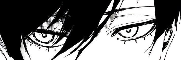 rinn banner