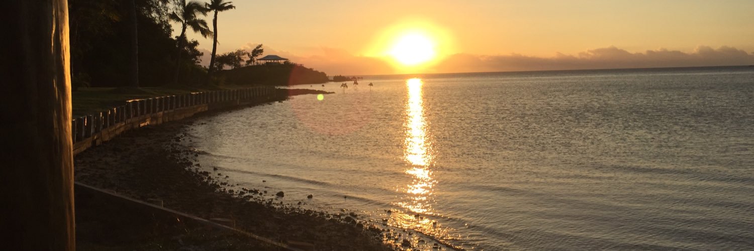 Jonathan Green banner