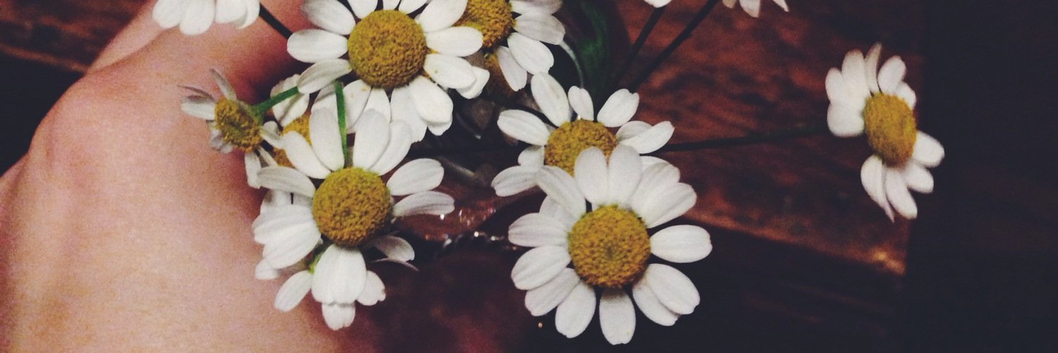 katstaylor's profile banner image