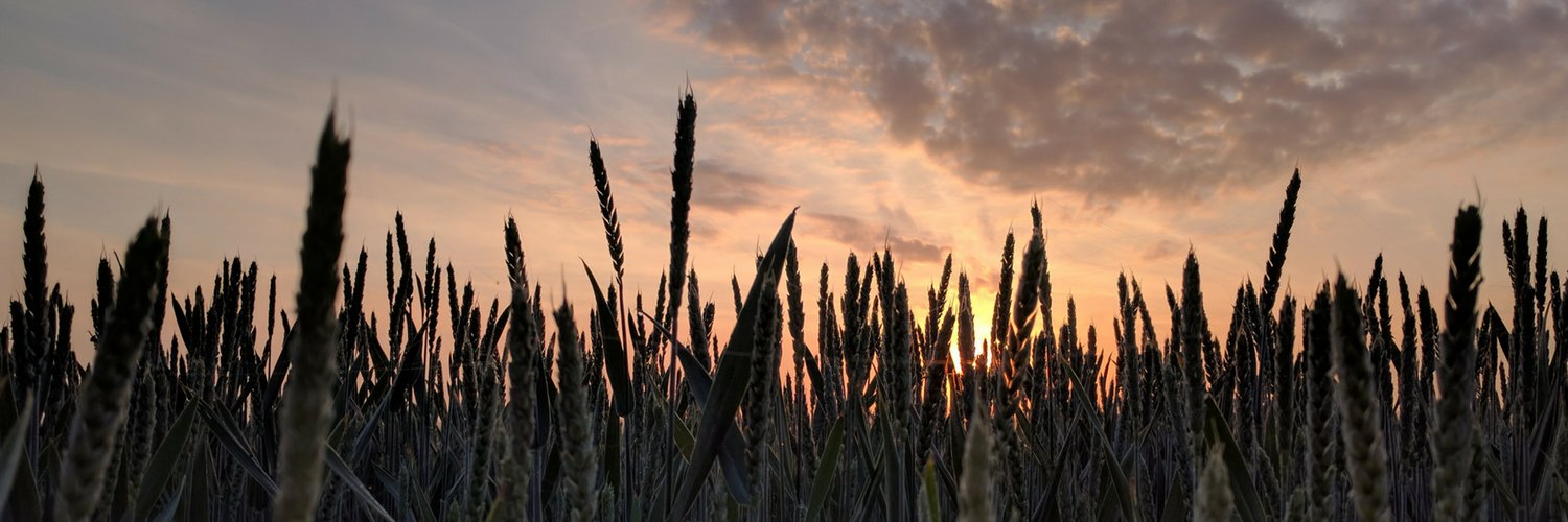 SC Farm Bureau banner