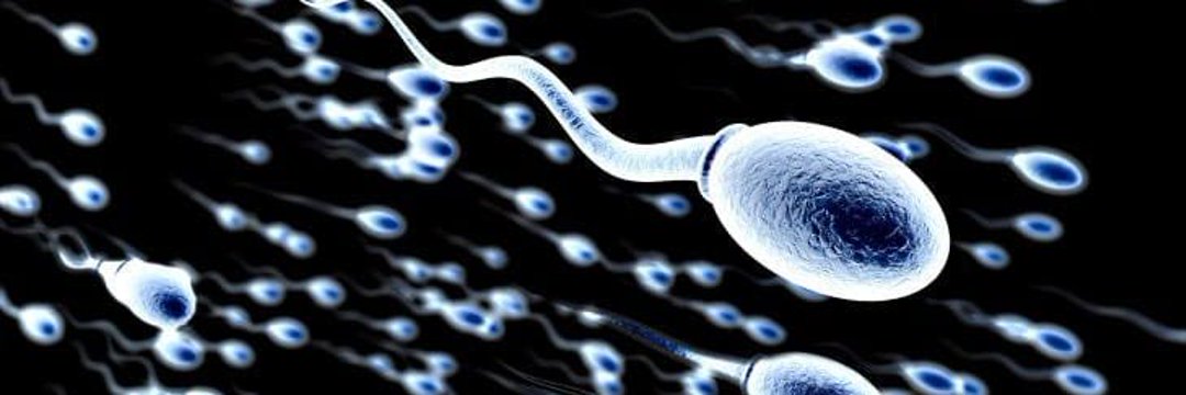 self suck vids banner