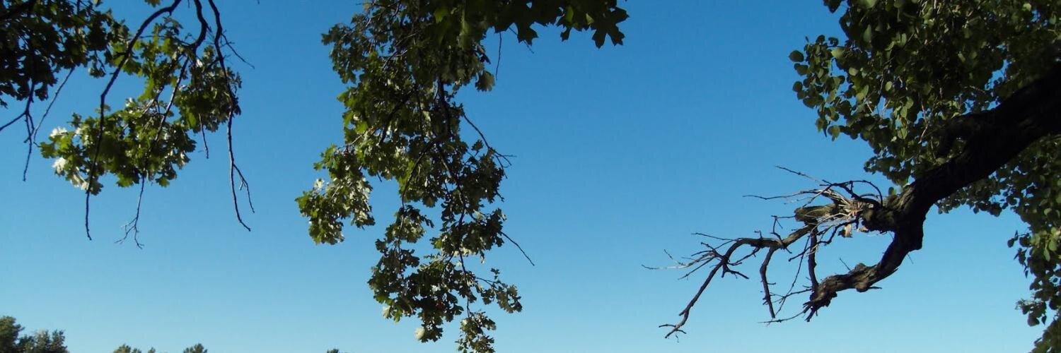 philemn's profile banner image