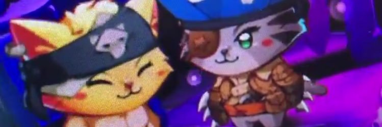 🐱 banner