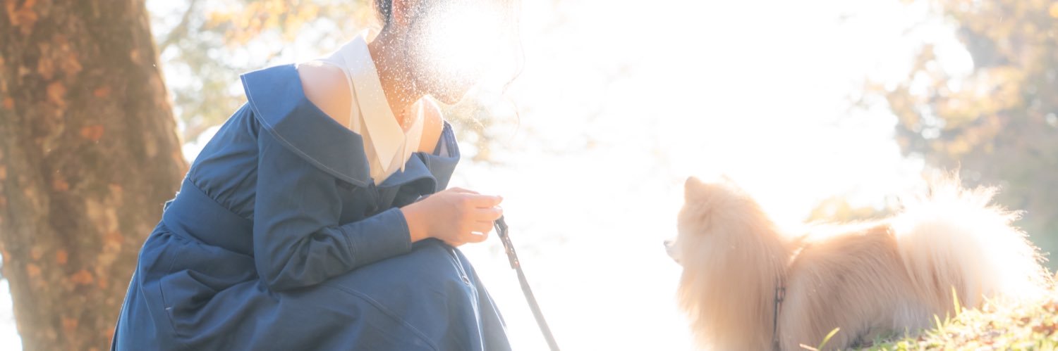 S_to_Pome's profile banner image