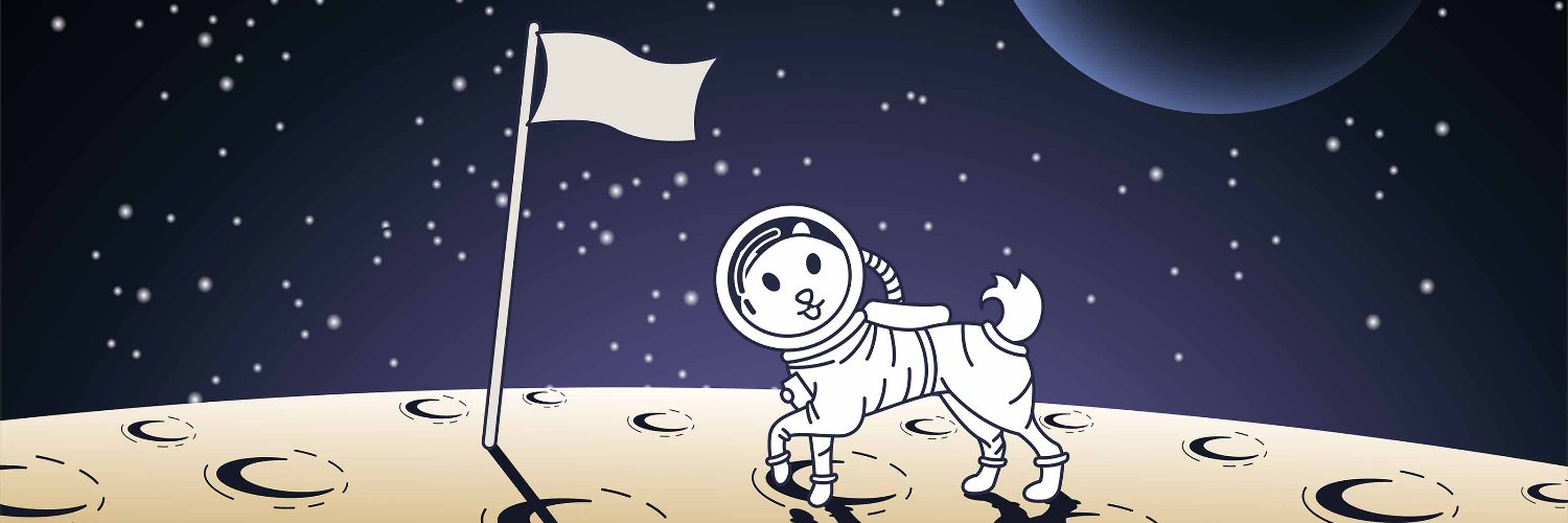DopePug0x's profile banner image