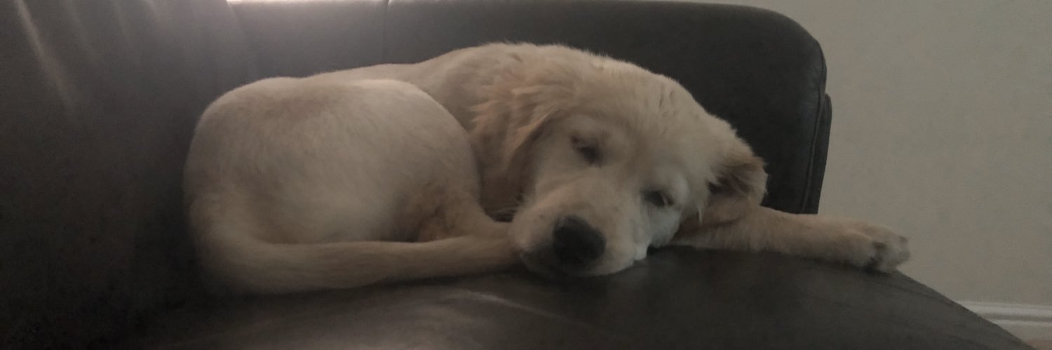 shelx58's profile banner image