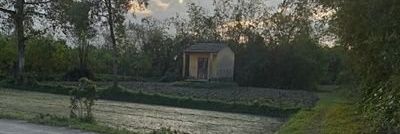 RMile #TEAMMILE 💚 banner