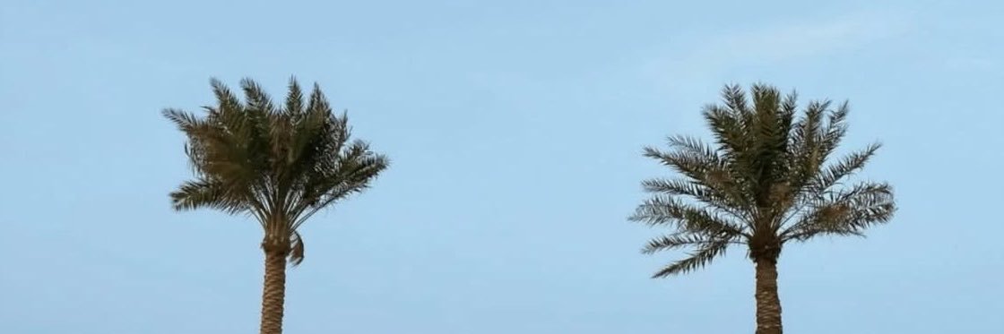 JobSeeker_QA's profile banner image