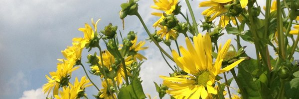 RMSHanover Profile Banner
