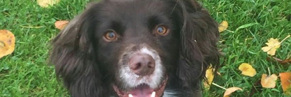 kevmccabe Profile Banner