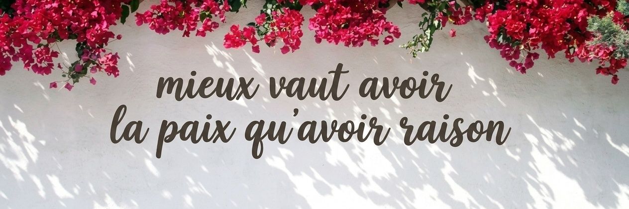 kim_jong_wahda🗡️🌸 banner