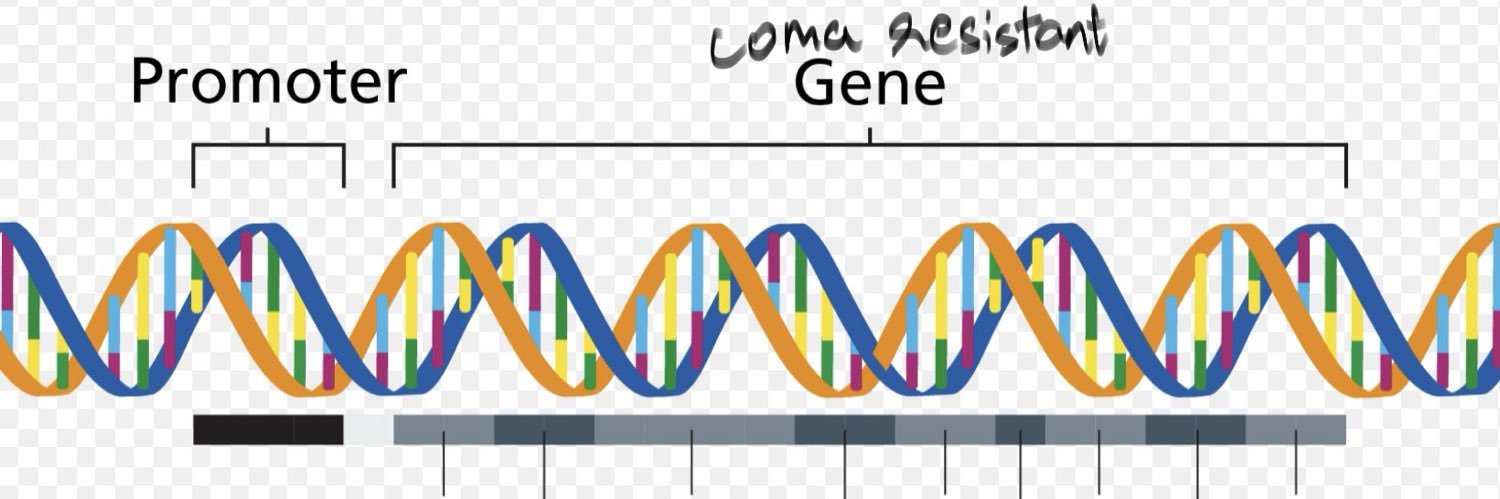 coma resistant gene banner