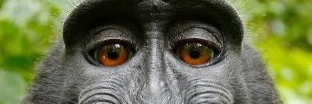 saweliam's profile banner image