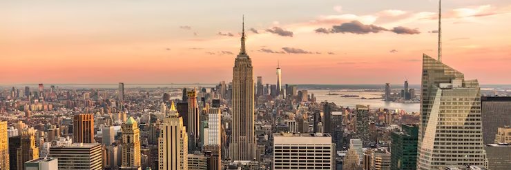 Bryona Hart | NYC banner