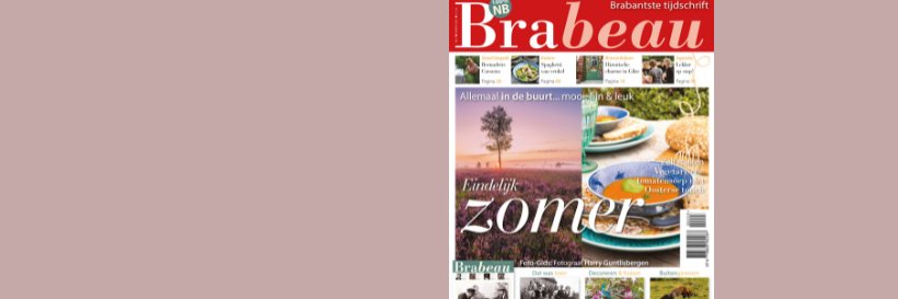 brabeau's profile banner image