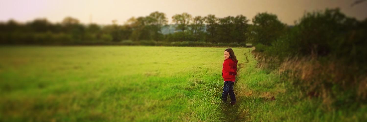 Rodwood's profile banner image