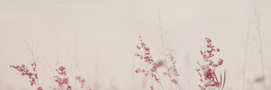 Han__1D's profile banner image