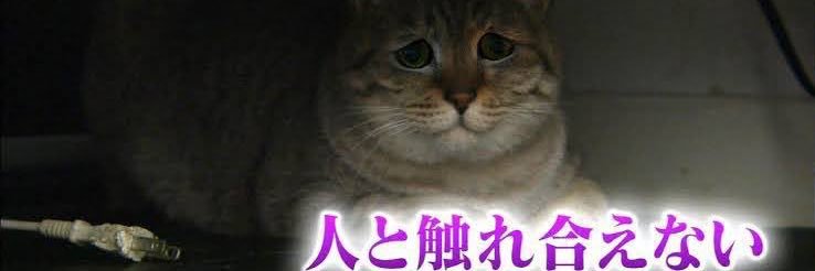 みみんぐ banner