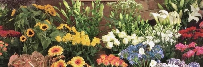 moonacre111's profile banner image