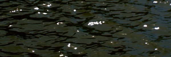 helloriseo Profile Banner