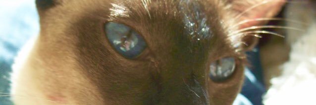Meezer0's profile banner image