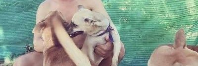 bobo34348449's profile banner image
