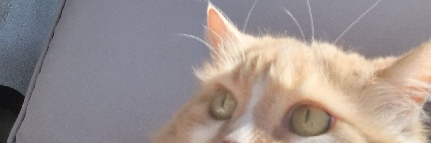 CassousLaw's profile banner image