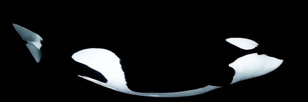 tectnl7's profile banner image