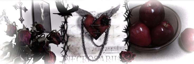 gr4vek_night's profile banner image