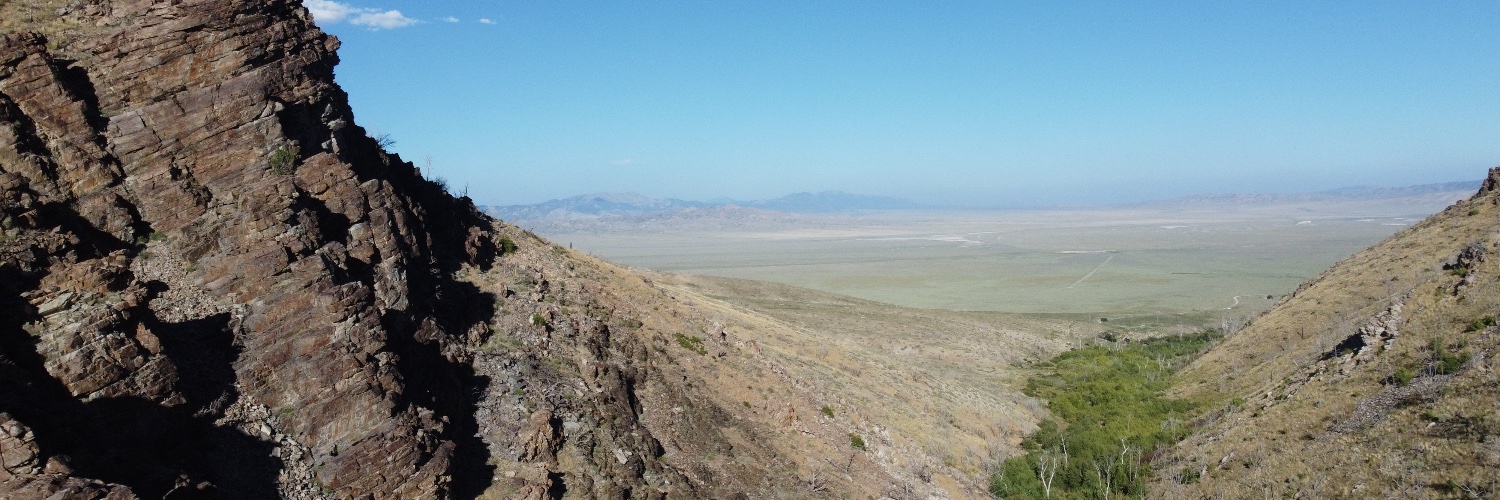 Falcon Copper banner