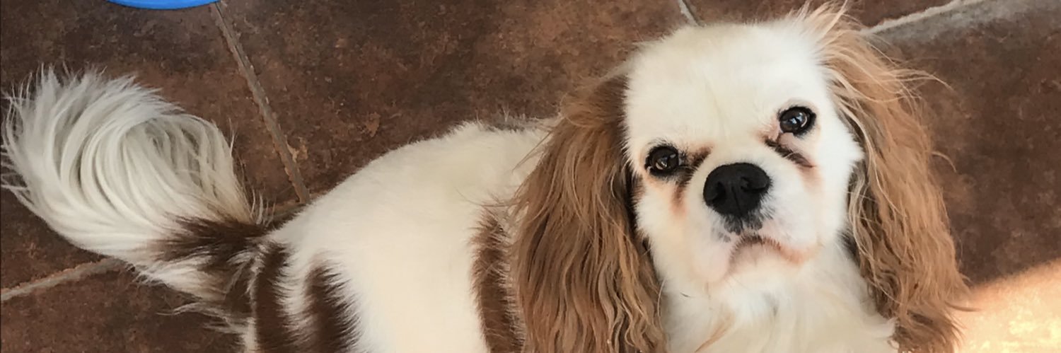 BeaBeiii's profile banner image