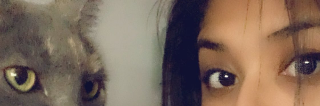 Elodinou's profile banner image
