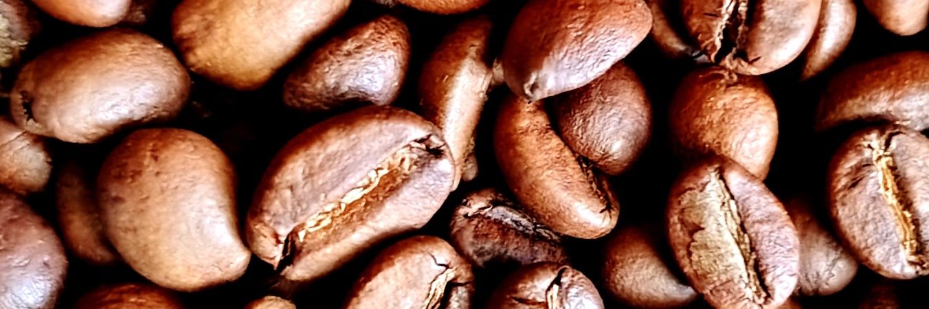 Фандомный сычик banner