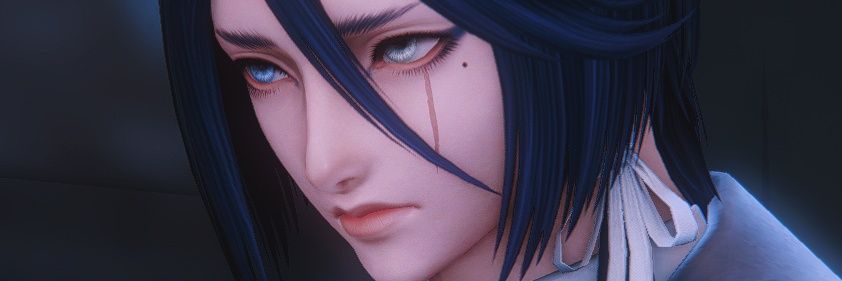 quillpy enjoyer banner