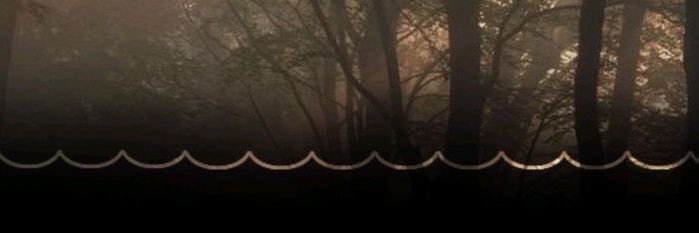 chwompyy's profile banner image