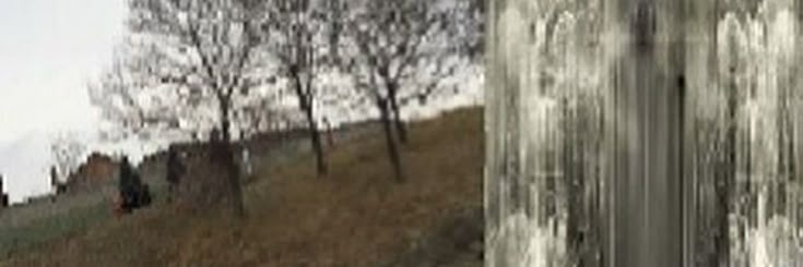 winter_harbor_'s profile banner image