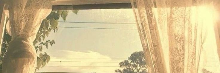 Pure Vanilla ⋆.˚𖥔˚ banner